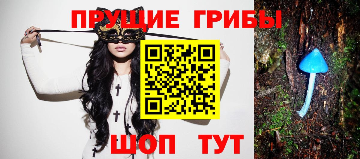 Тольятти  Псилоцибиновые грибы GOLDEN TEACHER  Вход с VPN 